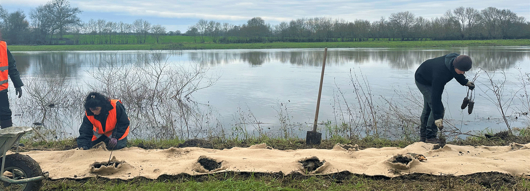 Des personnes font de la plantation au bord de la Sarthe