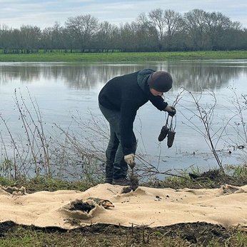 Des personnes font de la plantation au bord de la Sarthe