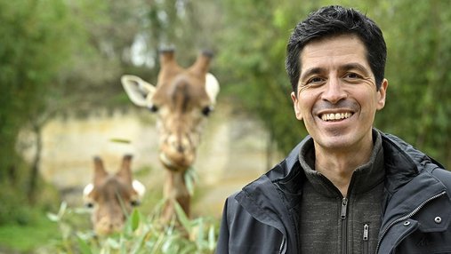 Portrait de François Gay devant des girafes